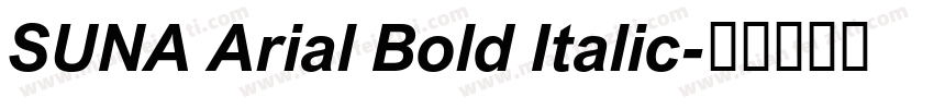 SUNA Arial Bold Italic字体转换